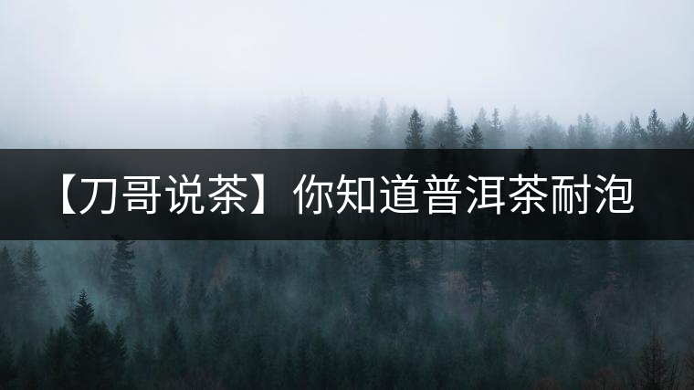 【刀哥說茶】你知道普洱茶耐泡，那你知道哪一類普洱茶比較耐泡？