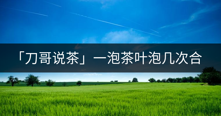 「刀哥說茶」一泡茶葉泡幾次合適?「刀哥說茶」一泡茶葉泡幾次合適？