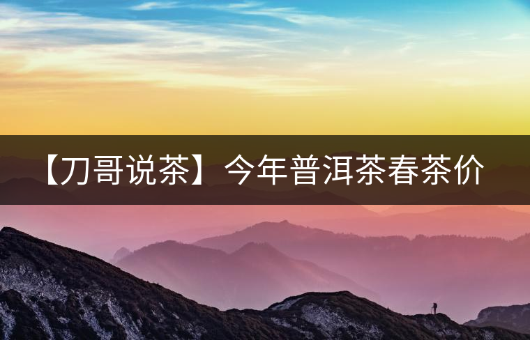 【刀哥說茶】今年普洱茶春茶價格，我不預測