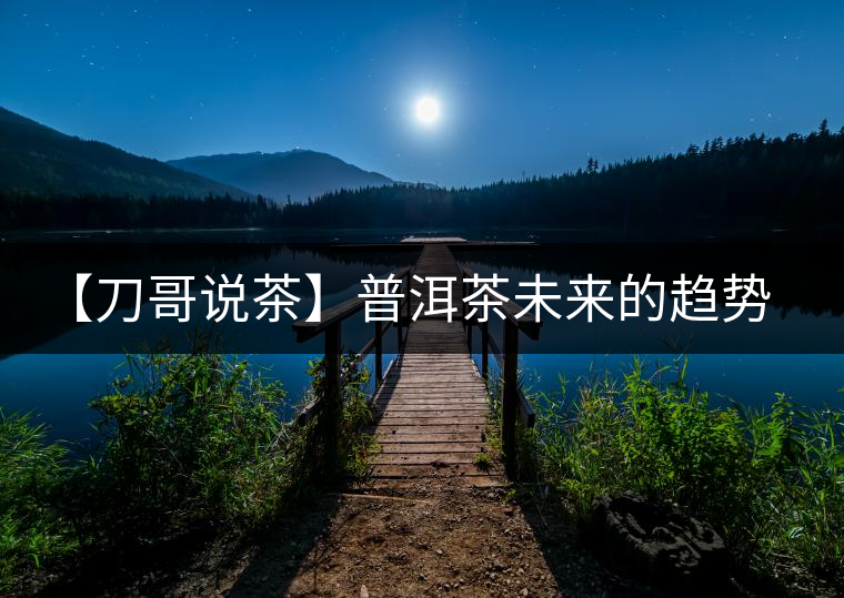 【刀哥說茶】普洱茶未來的趨勢，我看好熟茶