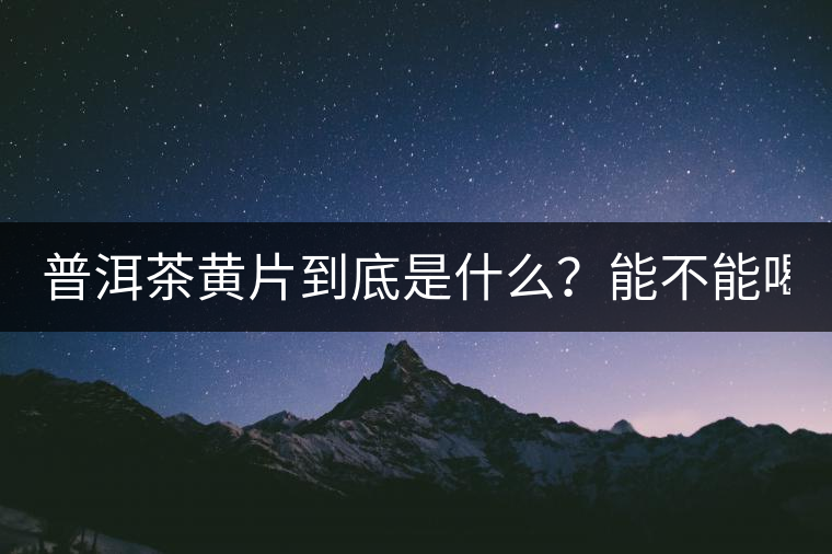 普洱茶黃片到底是什么？能不能喝？