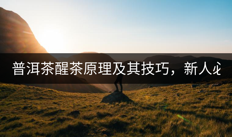 普洱茶醒茶原理及其技巧，新人必備！