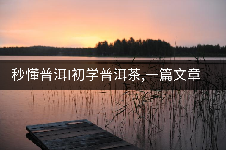 秒懂普洱I初學(xué)普洱茶,一篇文章快速入門(mén) 秒懂普洱I初學(xué)普洱茶,一篇文章快速入門(mén)
