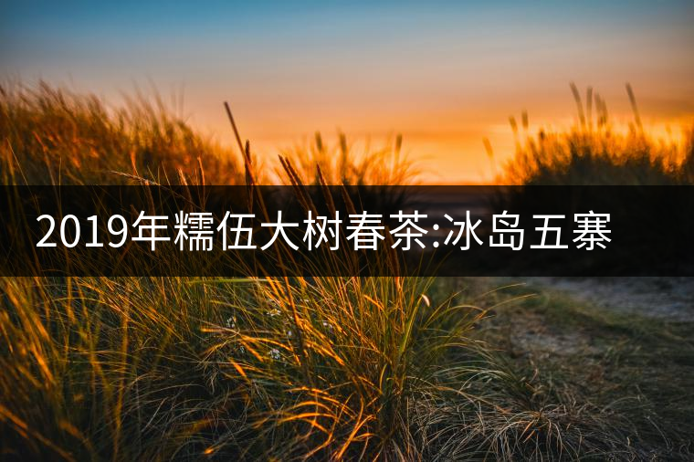 2019年糯伍大樹(shù)春茶:冰島五寨甜柔口感的代表，售價(jià)不...2019年糯伍大樹(shù)春茶：冰島五寨甜柔口感的代表，售價(jià)不到500