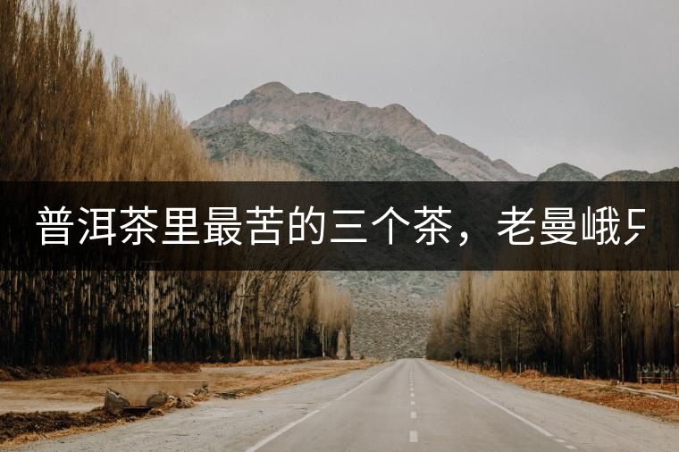 普洱茶里最苦的三個茶，老曼峨只能排第三！