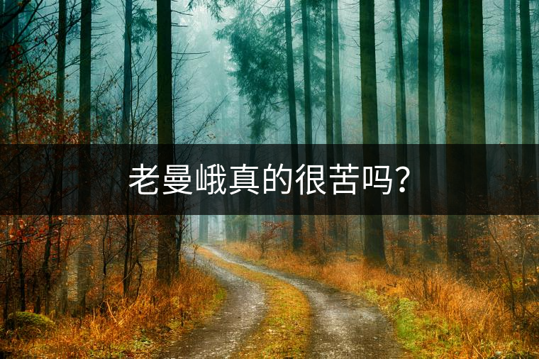 老曼峨真的很苦嗎？