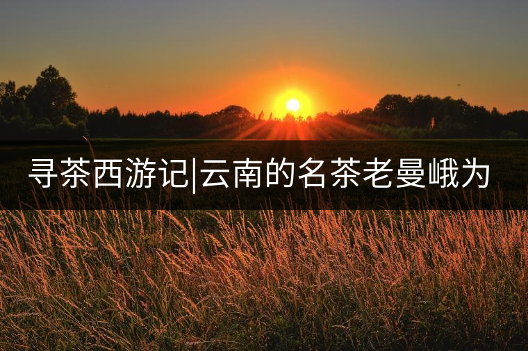 尋茶西游記|云南的名茶老曼峨為什么這么多人愛，這里...尋茶西游記｜云南的名茶老曼峨為什么這么多人愛，這里給你答案！