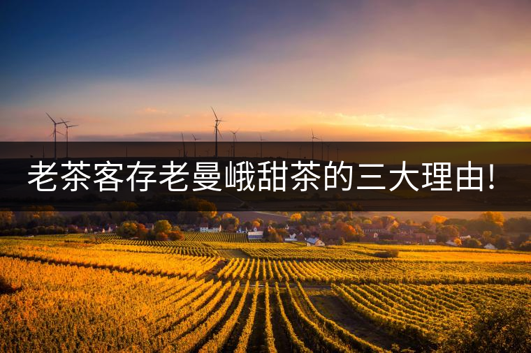 老茶客存老曼峨甜茶的三大理由!老茶客存老曼峨甜茶的三大理由！