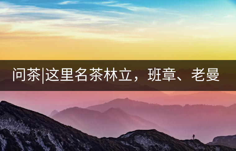 問茶|這里名茶林立，班章、老曼峨皆在其列!問茶｜這里名茶林立，班章、老曼峨皆在其列！