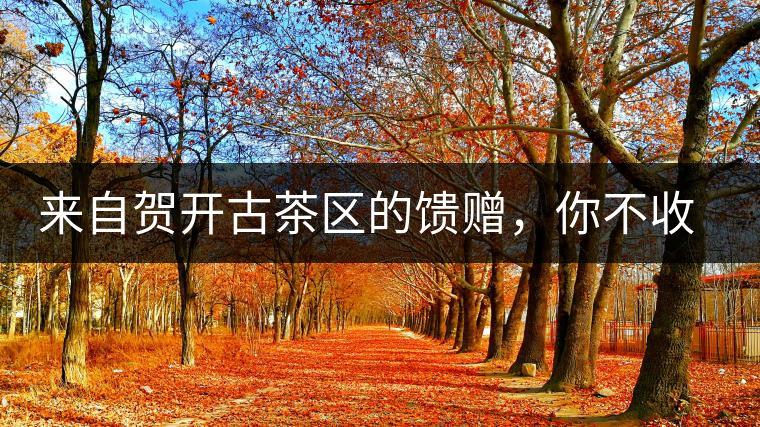 來自賀開古茶區(qū)的饋贈(zèng)，你不收一波嗎?來自賀開古茶區(qū)的饋贈(zèng)，你不收一波嗎？