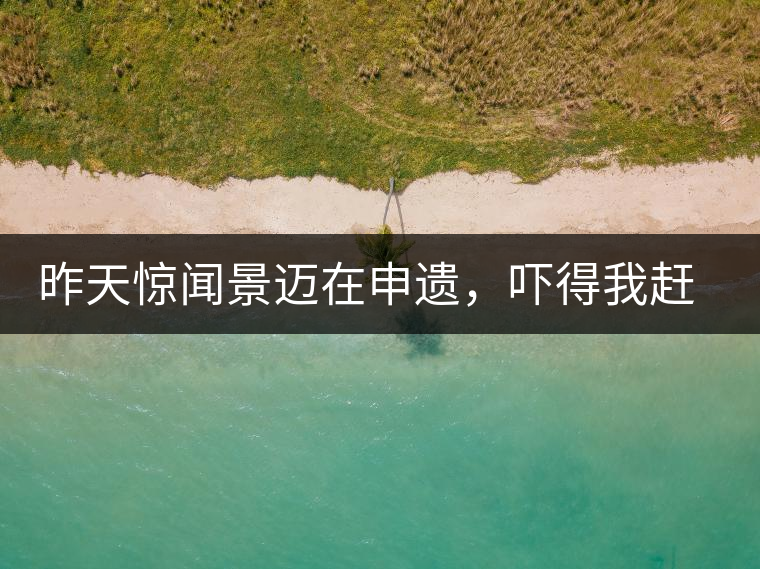 昨天驚聞景邁在申遺，嚇得我趕緊拿出景邁茶……昨天驚聞景邁在申遺，嚇得我趕緊拿出景邁茶……