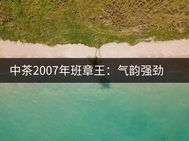 中茶2007年班章王：氣韻強(qiáng)勁，蜂蜜水般甜潤，一直被老茶客撿漏