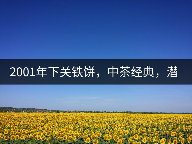 2001年下關(guān)鐵餅，中茶經(jīng)典，潛力可期!