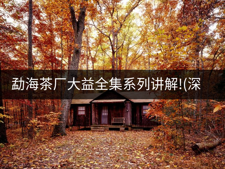 勐海茶廠大益全集系列講解!(深度講解大益茶品，建議收藏...勐海茶廠大益全集系列講解！（深度講解大益茶品，建議收藏）