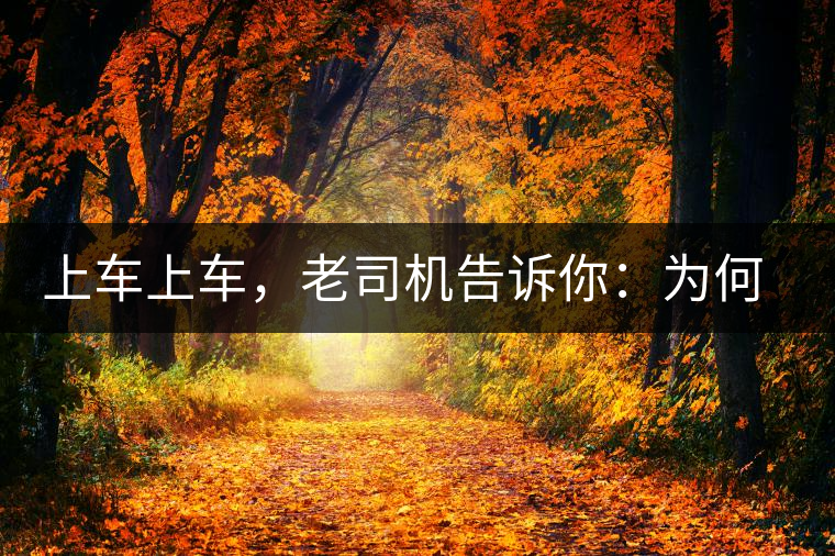 上車上車，老司機(jī)告訴你：為何明前茶貴如金