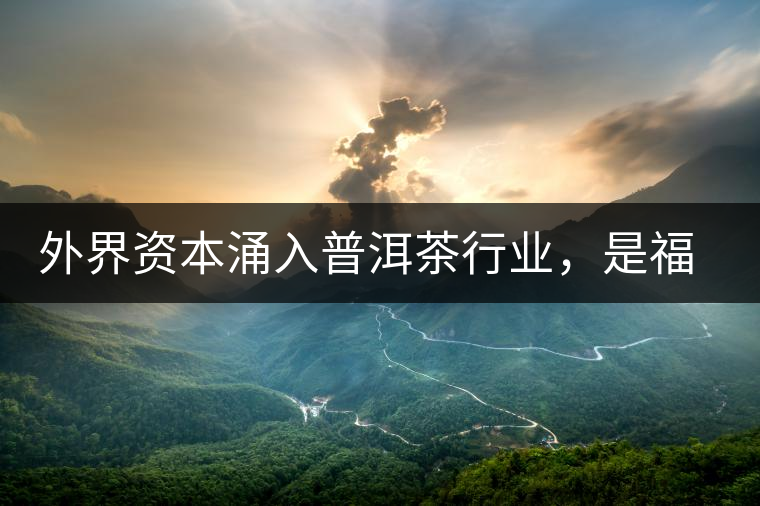外界資本涌入普洱茶行業(yè)，是福還是禍？