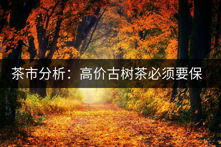 茶市分析：高價(jià)古樹(shù)茶必須要保證是正品
