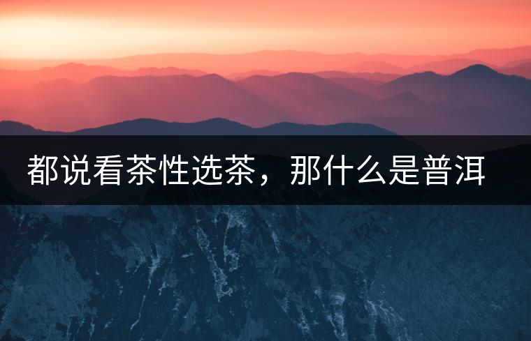 都說看茶性選茶，那什么是普洱茶的“茶性”呢？