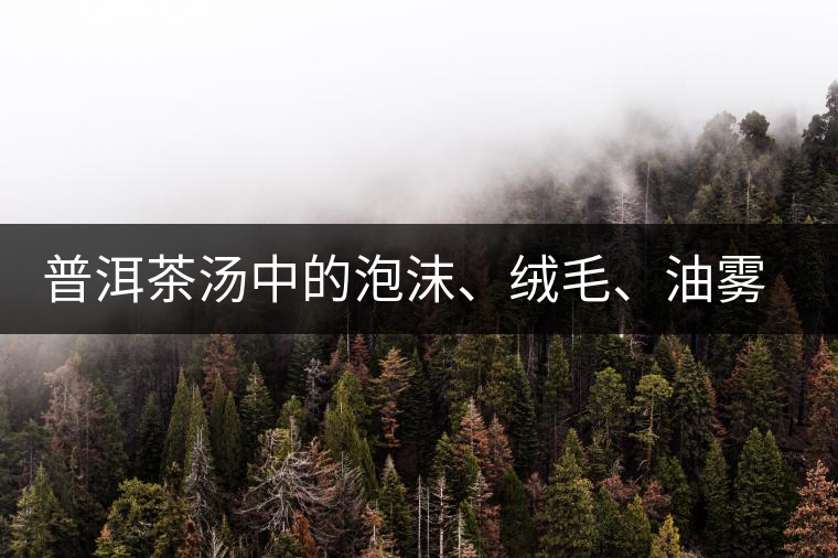 普洱茶湯中的泡沫、絨毛、油霧、絮狀物……原來是這些東西！