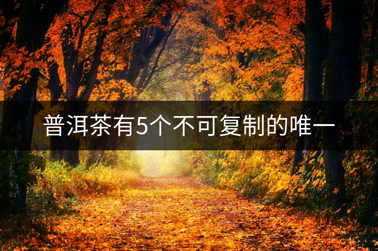 普洱茶有5個不可復制的唯一