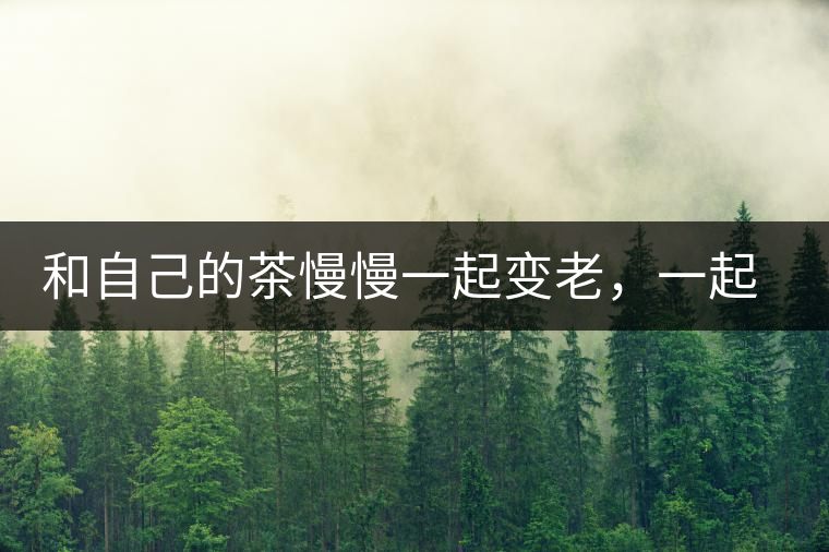 和自己的茶慢慢一起變老，一起變好