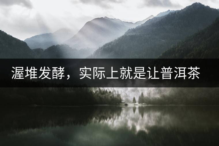 渥堆發(fā)酵,實際上就是讓普洱茶“發(fā)霉” 渥堆發(fā)酵,實際上就是讓普洱茶“發(fā)霉”