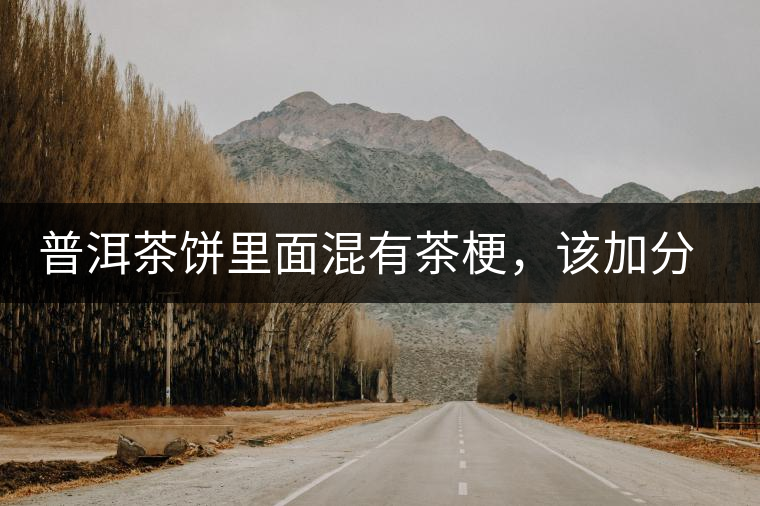 普洱茶餅里面混有茶梗，該加分還是減分？