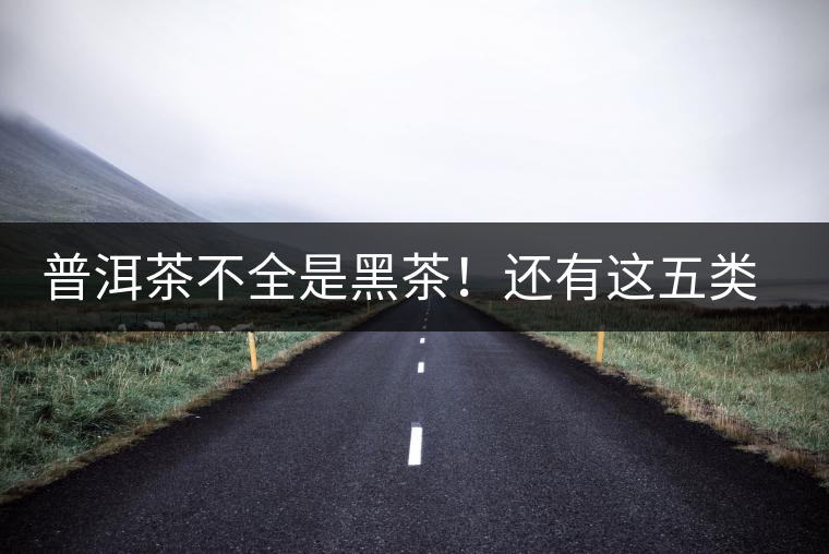 普洱茶不全是黑茶！還有這五類(lèi)茶，現(xiàn)在知道還不算晚