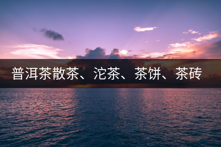 普洱茶散茶、沱茶、茶餅、茶磚哪種更好？