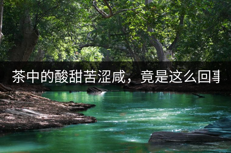 茶中的酸甜苦澀咸，竟是這么回事！