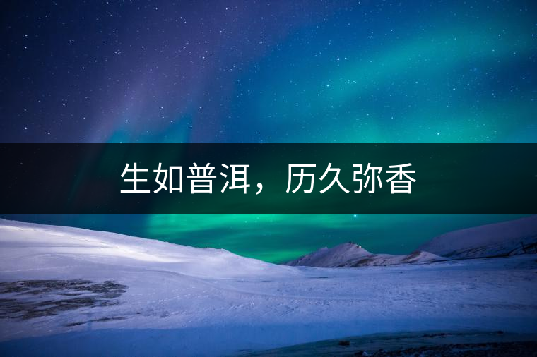 生如普洱，歷久彌香