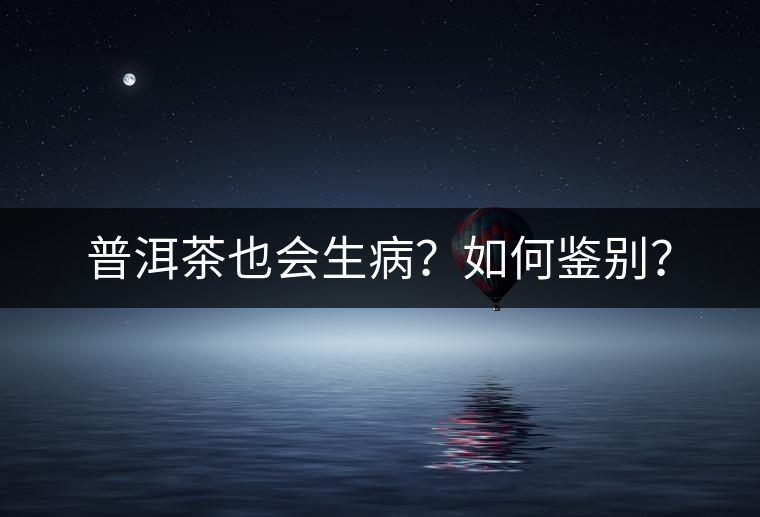 普洱茶也會生??？如何鑒別？