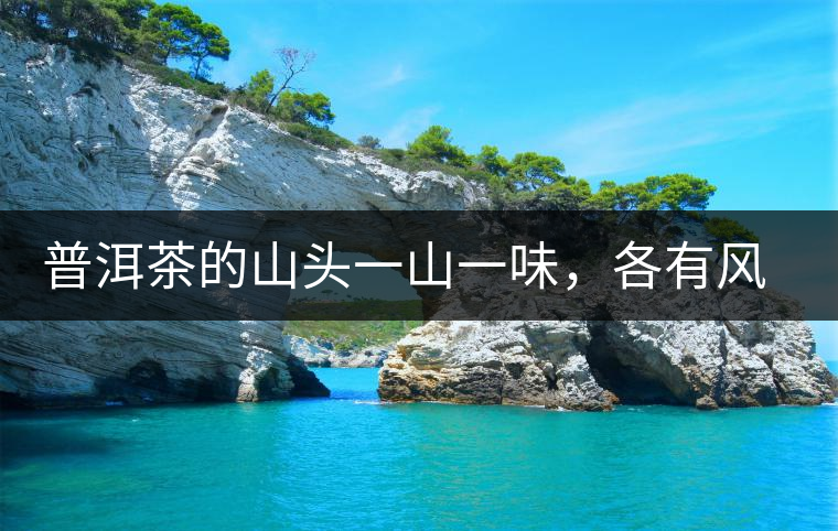 普洱茶的山頭一山一味，各有風(fēng)格