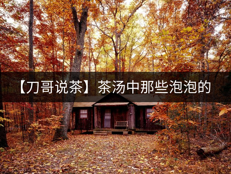 【刀哥說茶】茶湯中那些泡泡的始作俑者，茶皂素只是其中一個