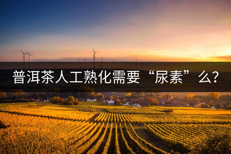 普洱茶人工熟化需要“尿素”么？