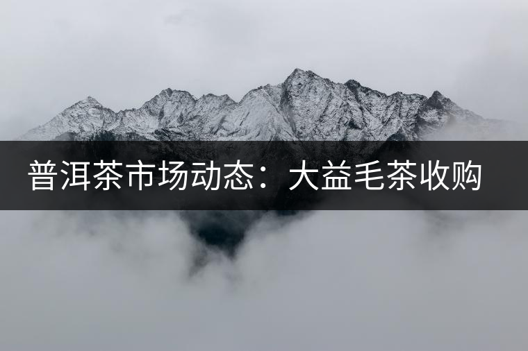 普洱茶市場(chǎng)動(dòng)態(tài)：大益毛茶收購(gòu)價(jià)跌兩成？