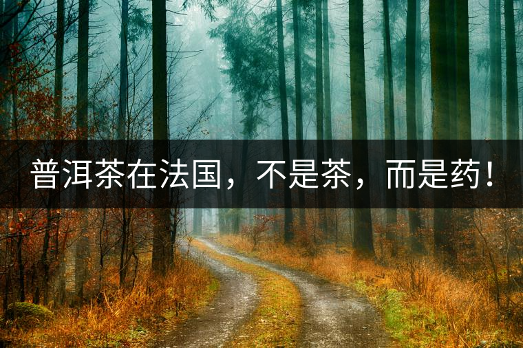 普洱茶在法國，不是茶，而是藥！