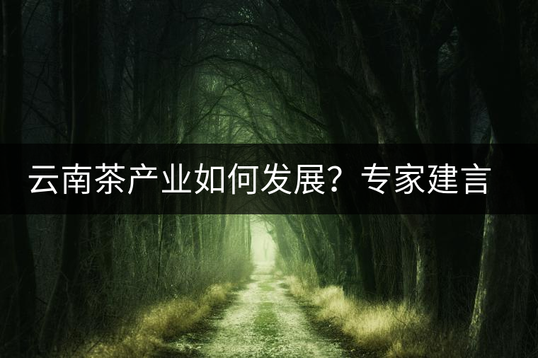 云南茶產(chǎn)業(yè)如何發(fā)展？專家建言：產(chǎn)業(yè)復興助脫貧