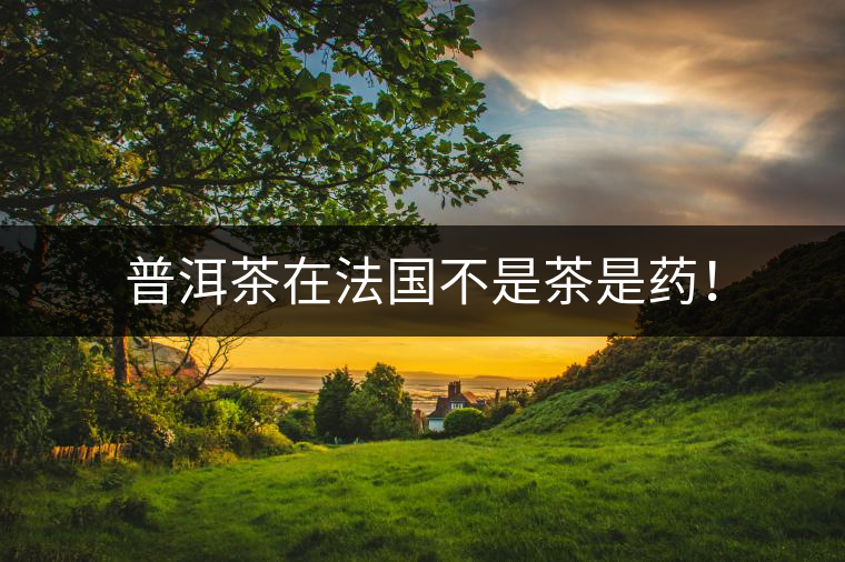 普洱茶在法國不是茶是藥！