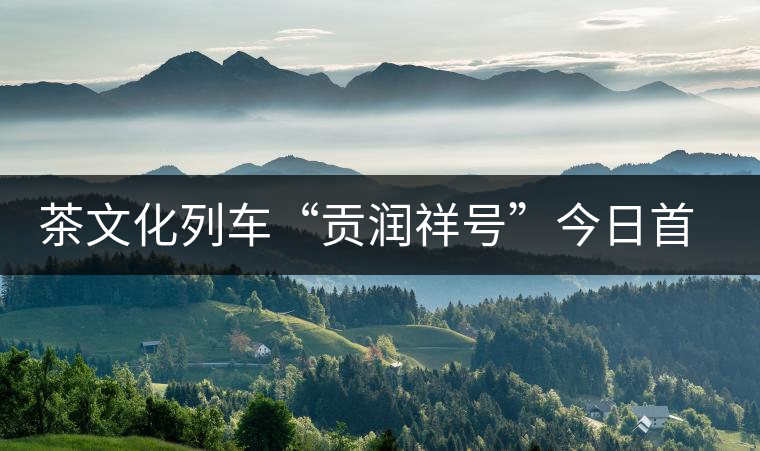 茶文化列車“貢潤祥號”今日首發(fā) 普洱茶膏搭上高鐵走出云南