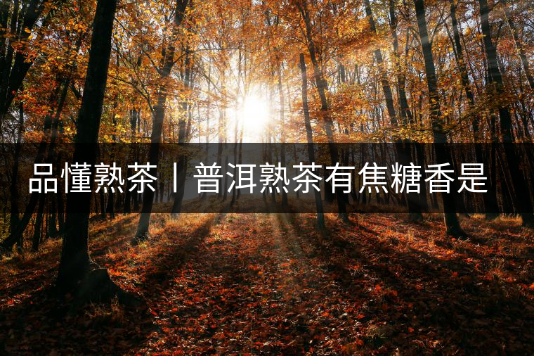 品懂熟茶丨普洱熟茶有焦糖香是好還是不好的表現(xiàn)？