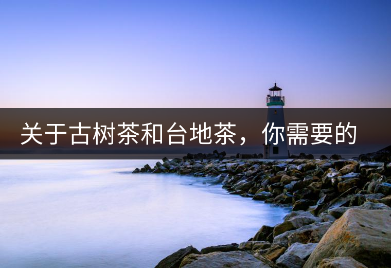 關(guān)于古樹(shù)茶和臺(tái)地茶，你需要的知識(shí)全在這里了