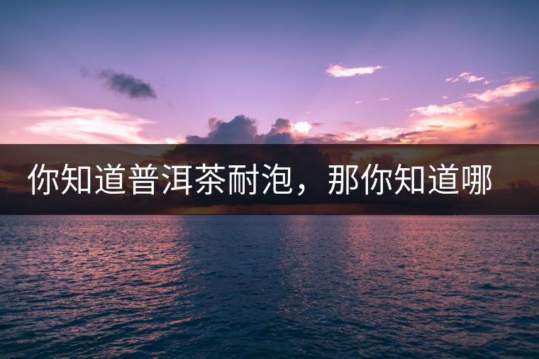 你知道普洱茶耐泡，那你知道哪一類普洱茶比較耐泡？