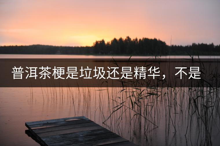 普洱茶梗是垃圾還是精華，不是一個(gè)人說的算