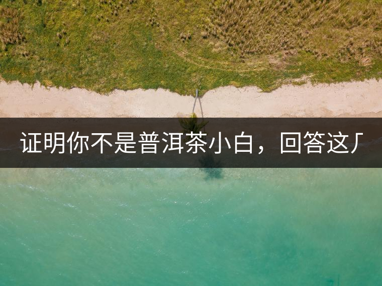 證明你不是普洱茶小白，回答這幾個問題先！