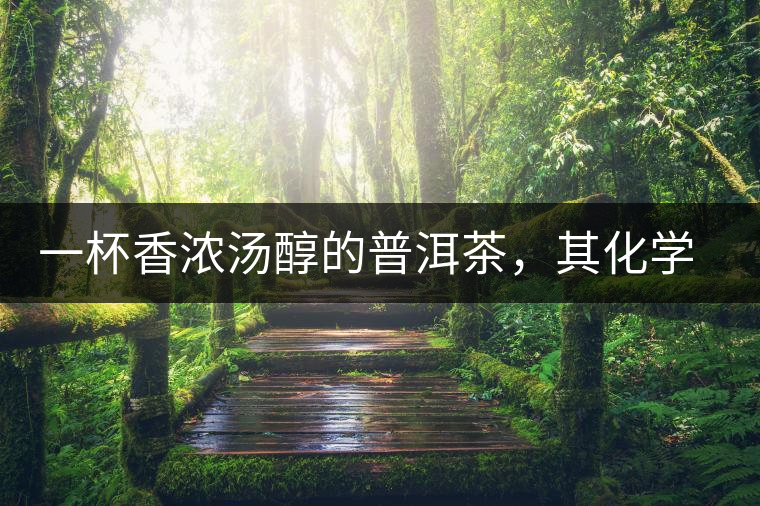 一杯香濃湯醇的普洱茶，其化學成分是怎樣的？