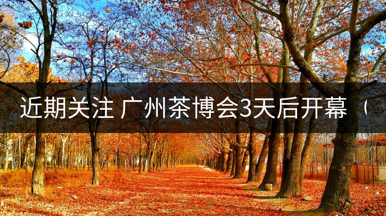 近期關注 廣州茶博會3天后開幕（11月21日）