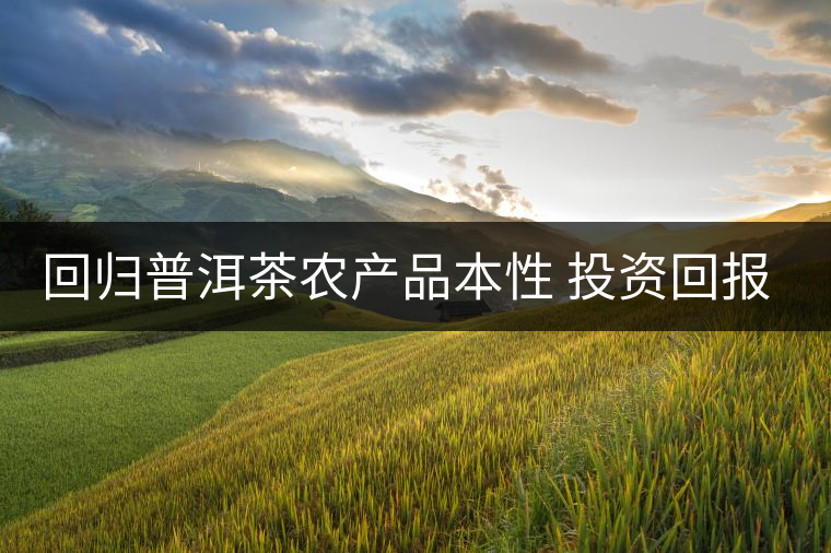 回歸普洱茶農(nóng)產(chǎn)品本性 投資回報率“馬上合乎心意” 回歸普洱茶農(nóng)產(chǎn)品本性 投資回報率“馬上合乎心意”
