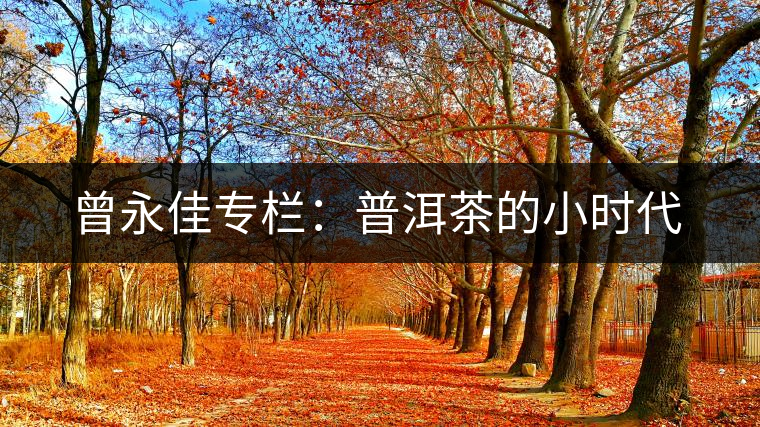 曾永佳專欄:普洱茶的小時(shí)代 曾永佳專欄:普洱茶的小時(shí)代