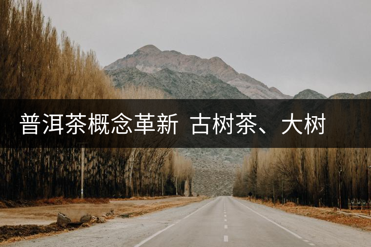 普洱茶概念革新  古樹茶、大樹茶定位被再次厘清